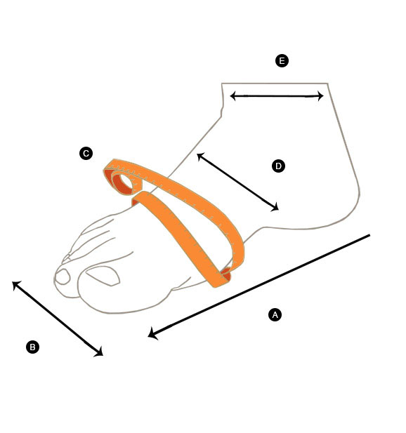 how to measure your foot schema 2